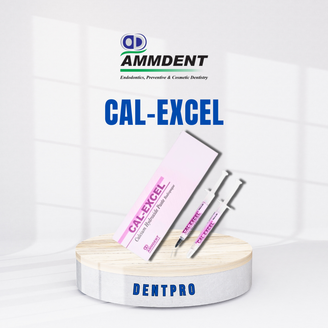 CAL-Excel