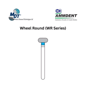 MDT FG Diamond Burs - Wheel Round (WR Series)